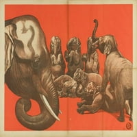 Vintage slon cirkuski poster Ispis