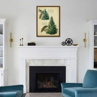 Kolorado Blue Spruce Norveška smreka, botanička uramljena umjetnost Print Wall Art Prodano od Art.com