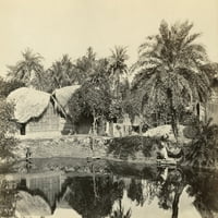 Indija: Kalkuta. Nonative kolibe i palme u Kalkuti, Indija. Fotografija Francisa Frith, C1865. Poster