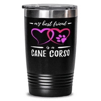 Najbolji prijatelj Briard Dog 20oz nehrđajućeg tumblera MUG Funny Dog Mom Poklon Idea