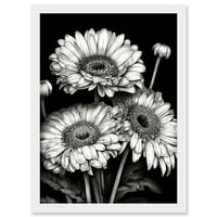 Crno-bijelo Gerbera Cvijeće tamno ilustracija umjetnička djela uokvirena zidna umjetnost Print A4