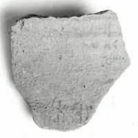 Ostracon Poster Print