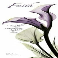 Calla Lily u ljubičastu - Faith Poster Print Albert Koetsier