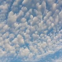 Vašington država. Skuša nebo izrađuje uvjerljive uzorke u svijetlom plavom nebo plakatu ispisa Trish