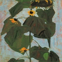 Poster suncokreta Print Egon Schiele