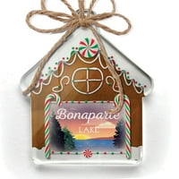 Ornament tiskani jedno obodno jezero Retro Design Lake Bonaparte Christmas Neonblond