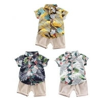 Toddler Baby Boy Hotsas setovi Havajska odjeća, dječje majice kratkih rukava za dijete Top + kratke