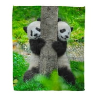 Bacanje pokrivača toplo ugodno print flanel zeleni panda medvjedi blizanci smiješni par parovi u komfornom meku za kauč za krevet i kauč