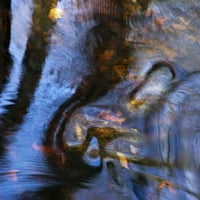 Loa, Massachusetts, Seekonk, Caratunk divljim životinjama, uzorci vode, refleksije i lišće. Print plakata