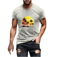 Njoeus majice za muškarce Summer Tshirts Majice za muškarce Ležerne prilike, okrugli vrat 3D digitalni ispis Pulover fitnes sportske kratke hlače rukave majice plus veličine na kliringu
