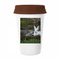 Bijeli zečevi Nauka priroda Šalica šalica kava pijenje staklo Pottery CEC CUP poklopac