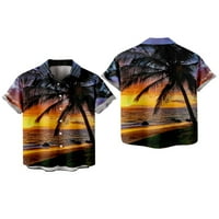 Dječaci i muškarci majice Havajske majice za muškarce, višebojni zalazak sunca Palm Beach Casual Moderan