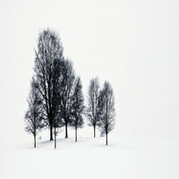 Drveće u snježnom polju u Chatsworth Parku; Derbyshire, Engleska Poster Print