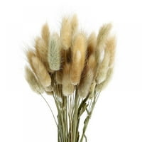 Prirodni sušeni Lagurus Ovatus, Boho kućni dekor Buket, sušeni zeko repovi Pampas za sušene cvijeće