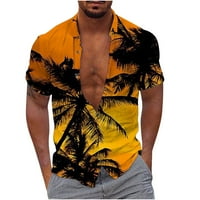 Zimske boemijske majice za plažu za muškarce plus veličine lapela za ispis bluza casual classic-fit