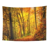 Jesenski šumski krajolik toplo su boje i pješačke staze prekrivene lišćem koje vode u scenu zidne umjetnosti visi tapise za tapiserija za dnevnu sobu spavaća soba spavaonica
