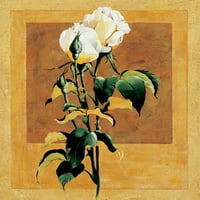 Bijela ruža III poster Ispis nepoznatog nepoznatog F101385