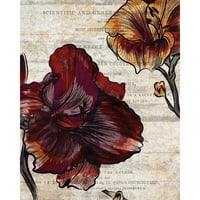 Kimberly, Allen crni moderni uokvireni muzej umjetnički print pod nazivom - sjajne cvjeta 1