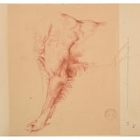 Jacques-Raymond Brascassat Crni moderni uokvireni muzej umjetnički print pod nazivom - Studija pasa