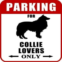Parking za ljubitelje Collie samo 9 W 11.5 H laminirani pas