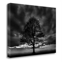 24 18 sjajno drvo fotonc studio - Ispis na platnu Tkaninu višeboj