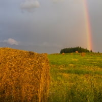 Rainbow se pojavljuje preko polja svježe valjanih bala sijena; Delta Junction, Aljaska, Sjedinjene Američke
