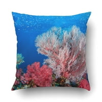 Sjeverni Andaman Sea Tajland Scuba ronjenje Podvodni plavi koralj Potpuno svijetli jastuk jastučni jastuk