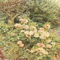 Neki engleski vrtovi 1904, Viscountess Folkestone poster Print George S. Elgood