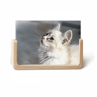 White PET CAT životinjski profil Slatki pogled foto Frame Frame Frame StonePop zaslon