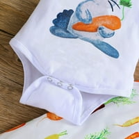 Utoimkio Novorođenčad Halter Jumpsuits Jesen Dječji dječak Dječak Cartoon Rabbit Carrot Romper Tops Hlače Set outfits Set