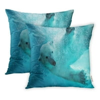 Polarni medvjed napadajući podvodnim detaljima punog šape koji prikazuju prošireni jastuk za jastuk,