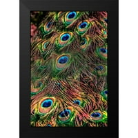 Ronin Crni moderni uokvireni muzej umjetnički print pod nazivom - Peacock perje