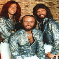 Bee Gees Band Portret Photo Print
